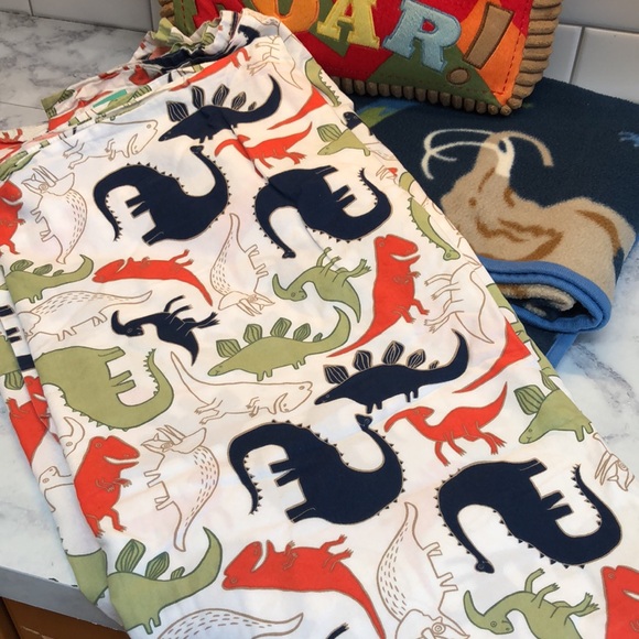Dinosaur Pillow, Fleece Throw & Sheet - Picture 14 of 14